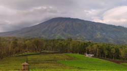 Bukit Jengkoang, Hidden Gem di Kota Batu dengan Panorama Sunrise dan Lautan Kabut