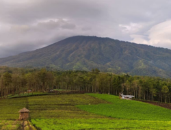 Bukit Jengkoang, Hidden Gem di Kota Batu dengan Panorama Sunrise dan Lautan Kabut