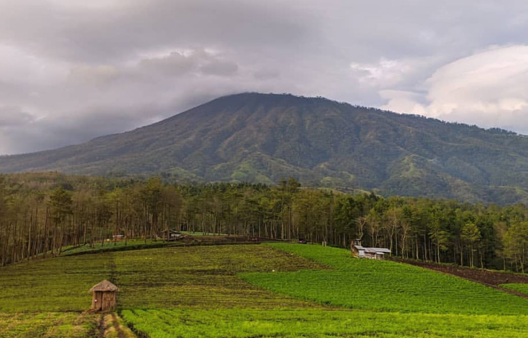 Bukit Jengkoang, Hidden Gem di Kota Batu dengan Panorama Sunrise dan Lautan Kabut Bukit Jengkoang, Hidden Gem di Kota Batu dengan Panorama Sunrise dan Lautan Kabut