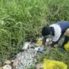 Kasus Limbah Medis Tak Kunjung Tuntas, DPRD Desak Audit Total