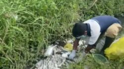 Kasus Limbah Medis Tak Kunjung Tuntas, DPRD Desak Audit Total