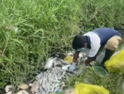 Kasus Limbah Medis Tak Kunjung Tuntas, DPRD Desak Audit Total