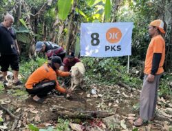 PKS Kota Malang Salurkan 7.124 Paket Daging Kurban, Kambing Kurban Naik Dua Kali Lipat