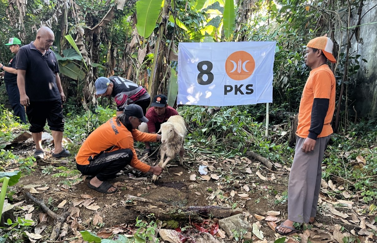 PKS Kota Malang Salurkan 7.124 Paket Daging Kurban, Kambing Kurban Naik Dua Kali Lipat PKS Kota Malang Salurkan 7.124 Paket Daging Kurban, Kambing Kurban Naik Dua Kali Lipat