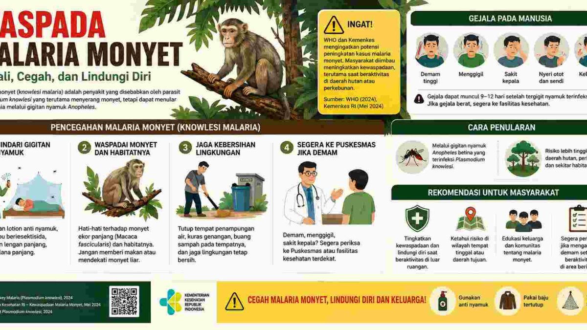 WHO dan Kemenkes Waspadai Malaria Monyet, Risiko Meningkat di Kawasan Hutan