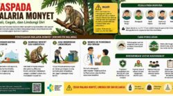 WHO dan Kemenkes Waspadai Malaria Monyet, Risiko Meningkat di Kawasan Hutan