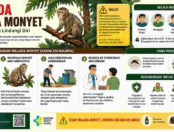 WHO dan Kemenkes Waspadai Malaria Monyet, Risiko Meningkat di Kawasan Hutan