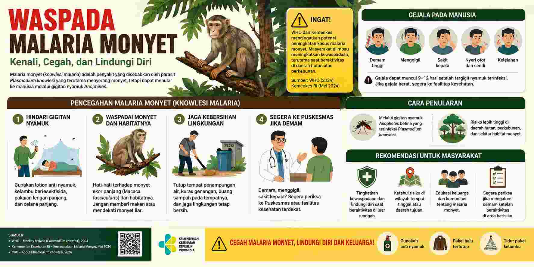 WHO dan Kemenkes Waspadai Malaria Monyet, Risiko Meningkat di Kawasan Hutan