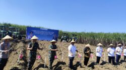 Gubernur Khofifah Pimpin Panen dan Tanam Tebu Serempak di Malang, Tegaskan Komitmen Jatim Menuju Swasembada Gula Nasional