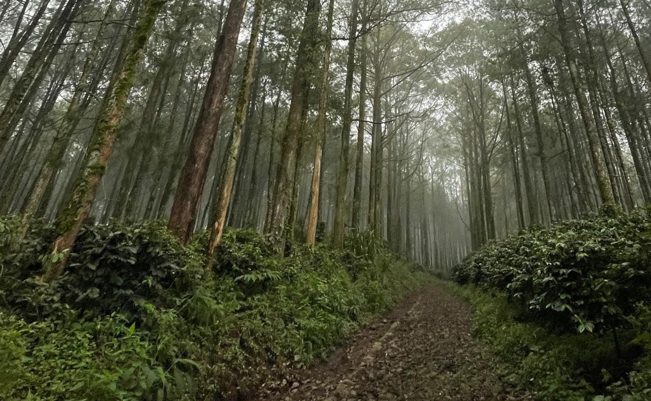 Pemkab Malang Akui Konflik Tenurial Masih Terjadi, Pelepasan 185 Hektare Kawasan Hutan Digadang Jadi Solusi