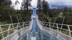 Jembatan Kaca Bromo Dibuka Akhir Juni, Pengelolaan Disewa Swasta hingga 2031