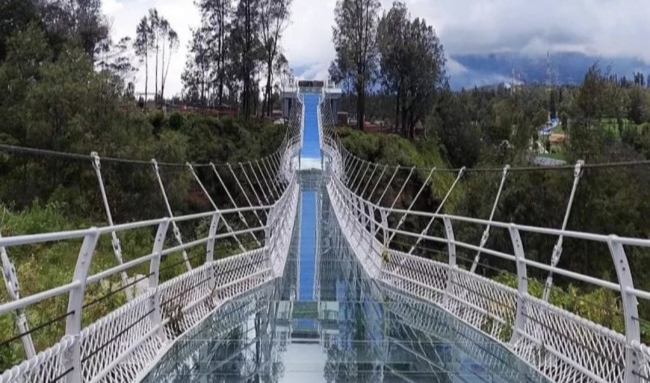 Jembatan Kaca Bromo Dibuka Akhir Juni, Pengelolaan Disewa Swasta hingga 2031