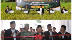 Membantu Program Pemerintah dalam Ketahanan Pangan, Ponpes Hamalatul Qur’an Al Ijabah Panen Raya
