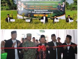 Membantu Program Pemerintah dalam Ketahanan Pangan, Ponpes Hamalatul Qur’an Al Ijabah Panen Raya
