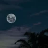 Malam Satu Suro, Tradisi Sakral Jawa yang Sarat Pantangan dan Introspeksi