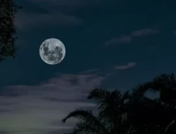 Malam Satu Suro, Tradisi Sakral Jawa yang Sarat Pantangan dan Introspeksi