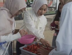 Berrventure Hadirkan Wisata Edukatif Yang Padukan Belajar, Bermain, Dan Kreativitas