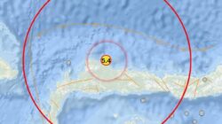 Gempa M 5,4 Guncang Buol, BMKG Sampaikan Kondisi Terkini dan Imbauan Warga