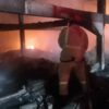 Dalam Satu Malam, Terjadi Kebakaran di Kecamatan  Lawang dan di Wonosari