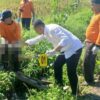Bayi Baru Lahir Ditemukan Tewas di Irigasi Bululawang, Polisi Telusuri Pelaku Pembuangan