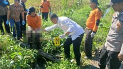 Bayi Baru Lahir Ditemukan Tewas di Irigasi Bululawang, Polisi Telusuri Pelaku Pembuangan