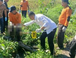 Bayi Baru Lahir Ditemukan Tewas di Irigasi Bululawang, Polisi Telusuri Pelaku Pembuangan