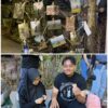 Mahasiswa UMM Tutup Rangkaian TRAX 2026 Lewat Mini Exhibition Moto East Java di Kayutangan Heritage