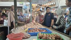 Harga Ayam dan Telur di Pasar Kepanjen Tetap Stabil, Sidak Ungkap Stok Melimpah Meski SPPG Berhenti Beroperasi