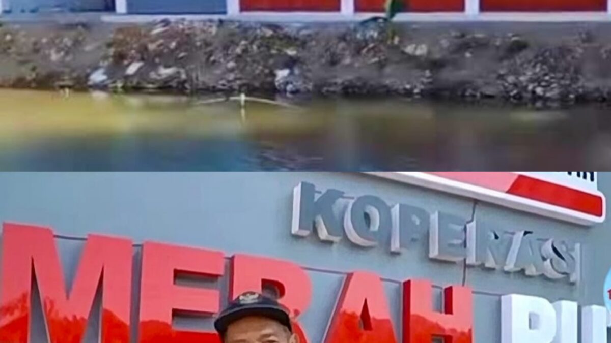 Viral Gerai KDMP Di Telaga,  Tidak  Punya Akses Jalan, Kades: Video Diambil dari Sudut yang Keliru