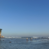 Libur Sekolah ke Malang Selatan? Pantai Tanjung Penyu Jadi Pilihan Wisata Kids Friendly untuk Keluarga