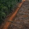 Bukan yang Terparah di Dunia, Tapi Indonesia Tetap Masuk Episentrum Krisis Hutan Tropis