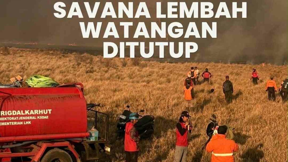 Savana Lembah Watangan Bromo Ditutup, Akses dari Malang Lewat Jemplang Terhenti