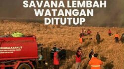 Savana Lembah Watangan Bromo Ditutup, Akses dari Malang Lewat Jemplang Terhenti