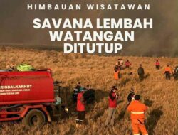 Savana Lembah Watangan Bromo Ditutup, Akses dari Malang Lewat Jemplang Terhenti