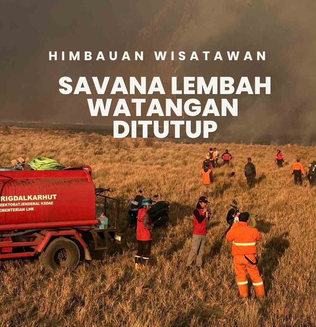 Savana Lembah Watangan Bromo Ditutup, Akses dari Malang Lewat Jemplang Terhenti Savana Lembah Watangan Bromo Ditutup, Akses dari Malang Lewat Jemplang Terhenti