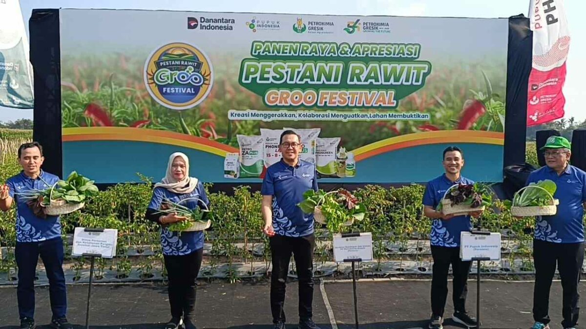 Pestani Rawit Groo : Strategi Petrokimia Dorong Produktivitas Cabai di Jatim