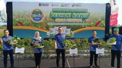 Pestani Rawit Groo : Strategi Petrokimia Dorong Produktivitas Cabai di Jatim
