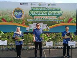 Pestani Rawit Groo : Strategi Petrokimia Dorong Produktivitas Cabai di Jatim