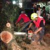 Pohon Mahoni Besar Tumbang Menimpa Sepeda Motor,  9 Orang Terluka