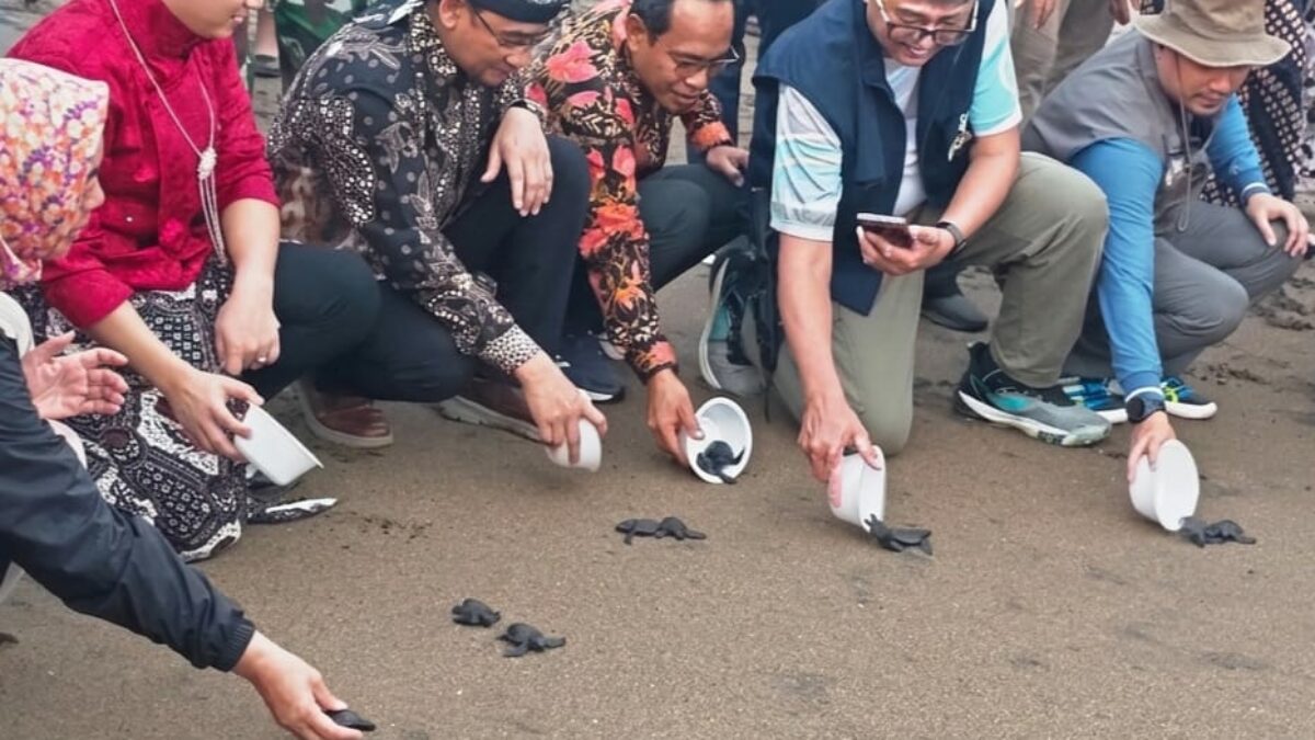 UB Mendukung Pelestarian Penyu, Menjaga Konservasi dan Mengubah Pola Pikir Warga