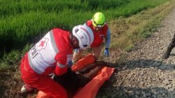 Diduga Gangguan Kejiwaan, Remaja 15 Tahun Tewas Tersambar  Kereta Malabar