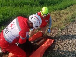 Diduga Gangguan Kejiwaan, Remaja 15 Tahun Tewas Tersambar  Kereta Malabar