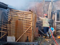 Korsleting Listrik Hanguskan Dapur dan Gudang Kayu 