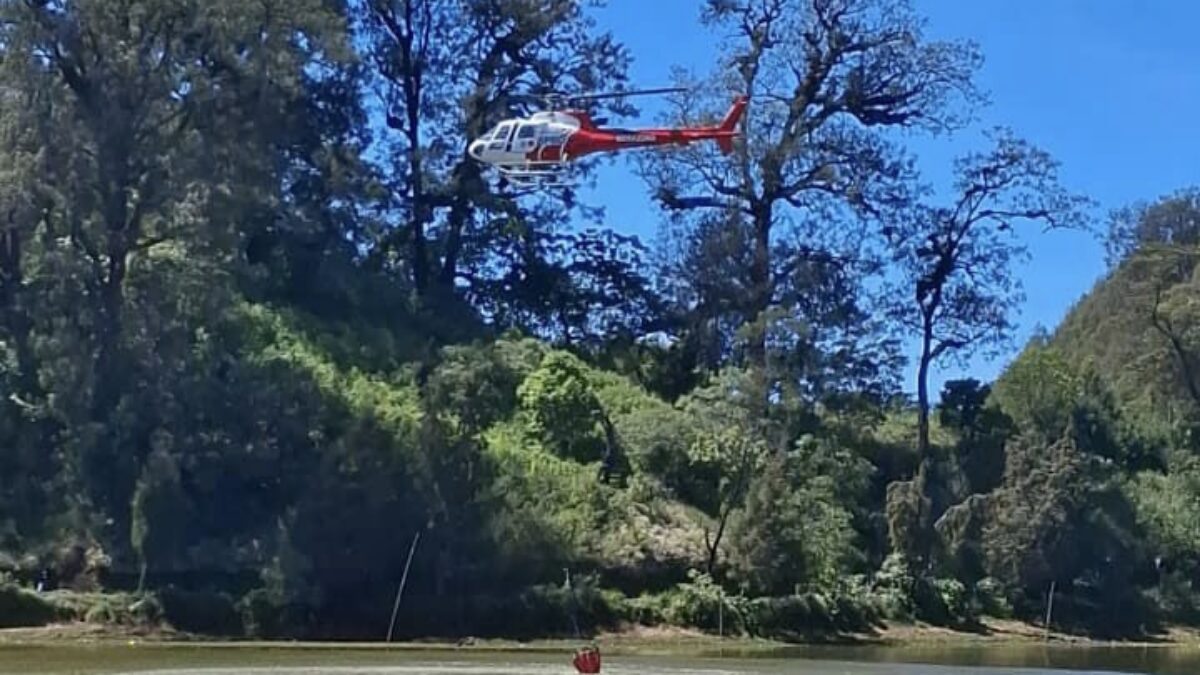 Karhutla TNBTS Meluas hingga 742,7 Hektare, 168.800 Liter Air Belum Hentikan Bara