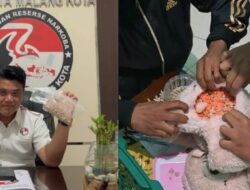 Jaringan Narkoba Malang Dibongkar, 1.461 Ekstasi dan 111 Ribu Pil LL Disita