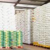 Harga Beras Berbeda di Setiap Daerah, Produksi Melimpah Tak Selalu Membuat Harga Murah