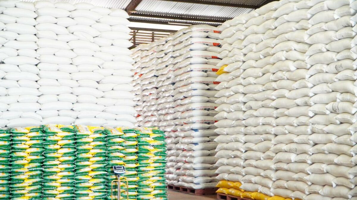 Harga Beras Berbeda di Setiap Daerah, Produksi Melimpah Tak Selalu Membuat Harga Murah