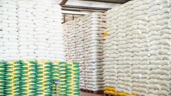 Harga Beras Berbeda di Setiap Daerah, Produksi Melimpah Tak Selalu Membuat Harga Murah