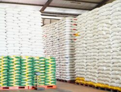 Harga Beras Berbeda di Setiap Daerah, Produksi Melimpah Tak Selalu Membuat Harga Murah