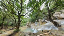 Panduan Wisata Grobogan Sewu Trenggalek 2026: Rute dan Tiket